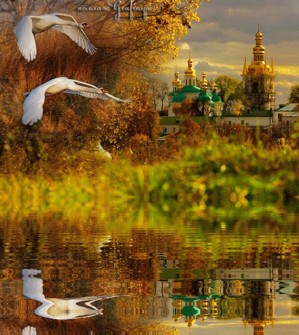 Оригинальные открытки с изображением осени. Открытки осень скачать бесплатно.