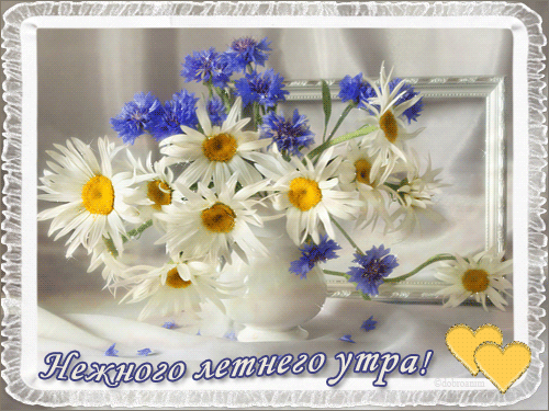 Скачать бесплатно открытки хорошего лета. Открытки с пожеланиями хорошего лета.