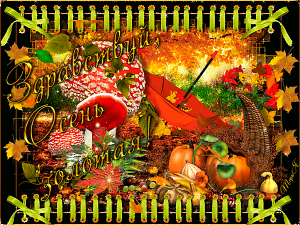 Чудесные открытки на тему Золотая Осень скачать бесплатно gif.