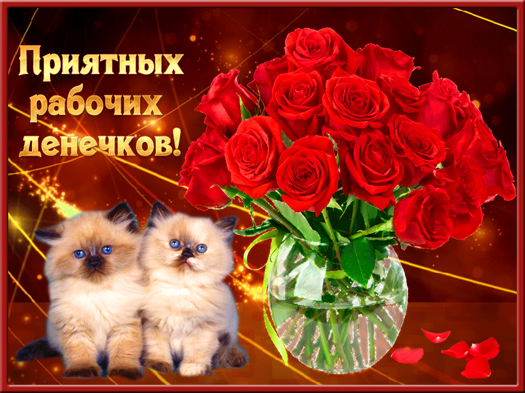 Забавные открытки с пожеланиями удачной недели. Открытки удачной недели скача...