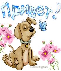 Красивые анимационные открытки с различными приветствиями скачать бесплатно.