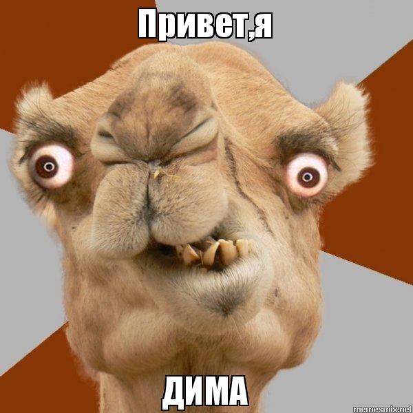 Открытки с именем Дмитрий скачать бесплатно. Анимационные открытки с именем Д...