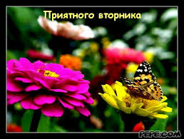 Позитивные открытки на вторник. Картинки про вторник скачать бесплатно.