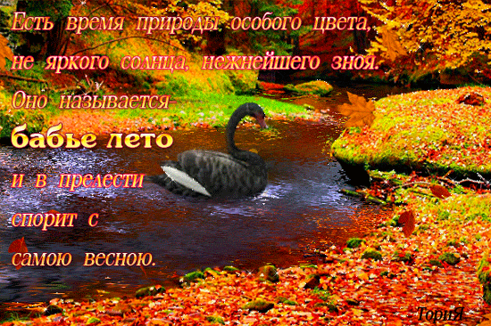 Поздравительные открытки с Бабьим Летом. Анимационные открытки на Бабье Лето. 
