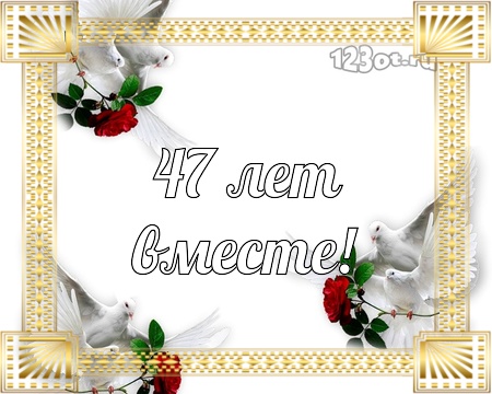 Открытки на Кашемировую/Шерстяную свадьбу 47 лет скачать бесплатно.