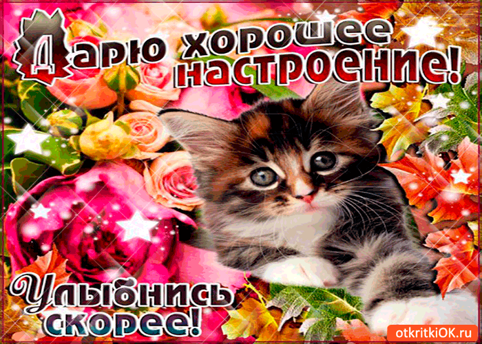 Позитивные открытки с пожеланиями хорошего настроения скачать бесплатно.