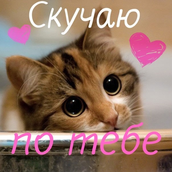 Анимационные открытки скучаю по тебе. Открытки я так скучаю скачать бесплатно.