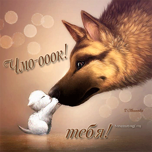 Оригинальные открытки с надписью целую. Открытки с поцелуями на любой вкус.