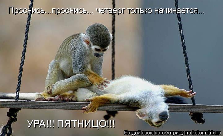 Открытки отличного четверга скачать бесплатно. Прикольные открытки на четверг...