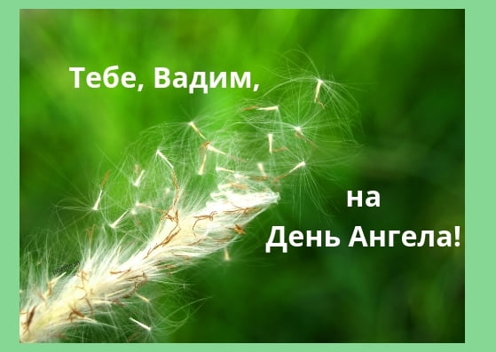 Открытки Открытки с мужскими именами. Поздравительные открытки с именем Вадим. Открытки с днем рождения Вадим. Открытки с именем Вадим скачать бесплатно. Именные открытки gif. Открытки с именами гиф. Поздравительные открытки с именем Вадим.