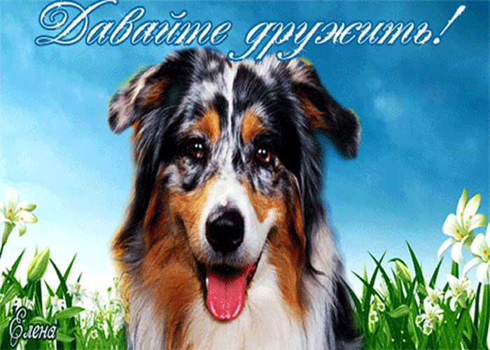 Красивые анимационные открытки давай дружить скачать бесплатно.