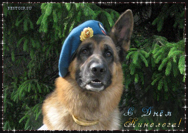 Открытки с пожеланиями на день кинолога скачать бесплатно.    