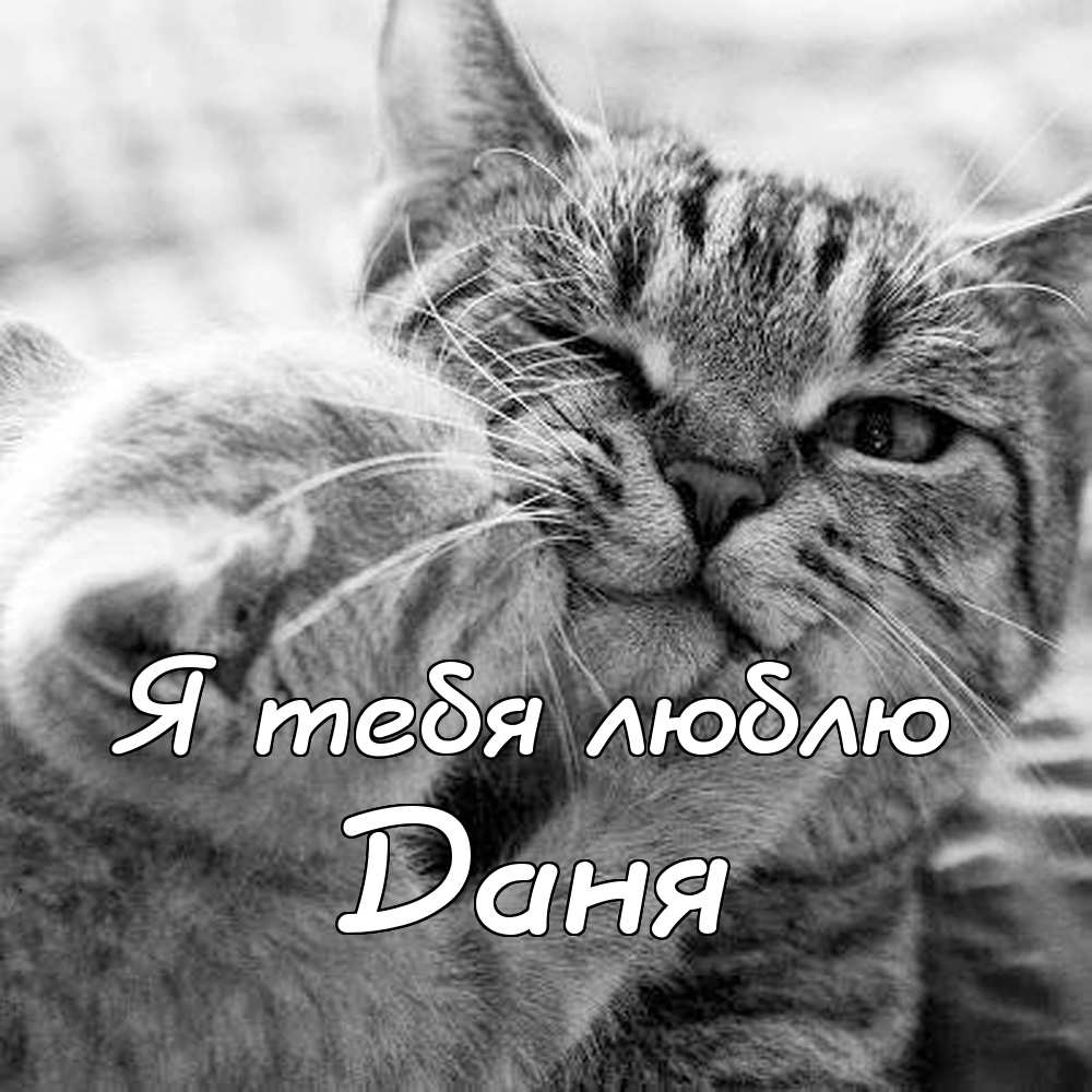 Открытки с именем Даниил gif. Открытки с именем Данил скачать бесплатно.