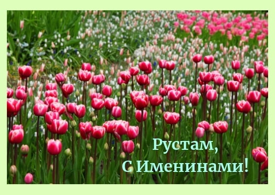 Поздравительные открытки с именем Рустам. Открытки с мужскими именами. С днём...