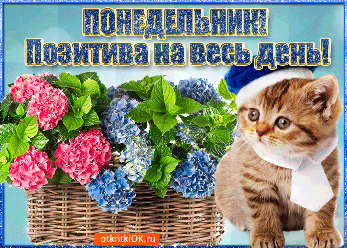 Открытки с пожеланиями легкого понедельника скачать бесплатно.