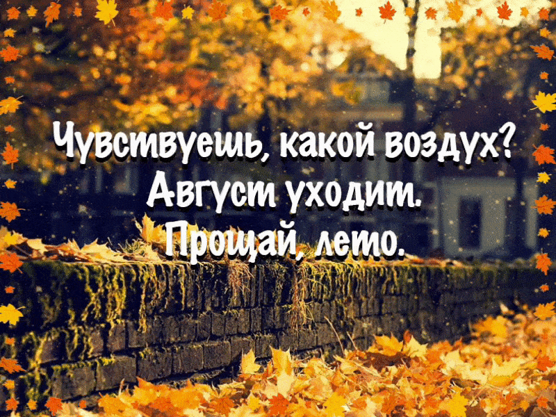 Последние дни лета цитата. Прощай лето Здравствуй осень. Лето, Прощай. Прощай лето привет осень. Прощай лето Здравствуй осень стихи
