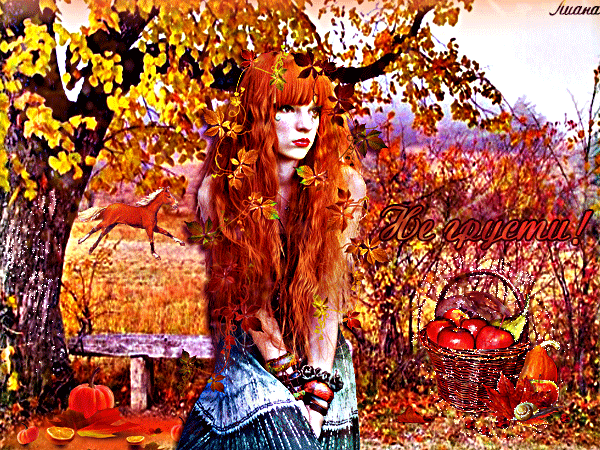 Оригинальные открытки с изображением осени. Открытки осень скачать бесплатно.