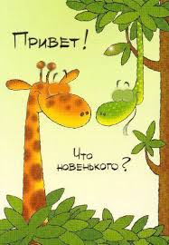 Красивые анимационные открытки с различными приветствиями скачать бесплатно.