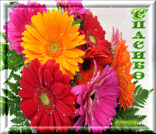 Анимационные открытки с благодарностью. Открытки спасибо скачать бесплатно.