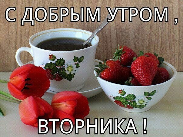 Позитивные открытки на вторник. Картинки про вторник скачать бесплатно.