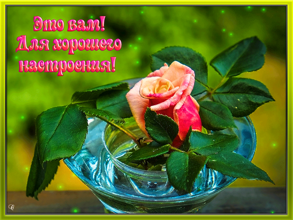 Позитивные открытки с пожеланиями хорошего настроения скачать бесплатно.