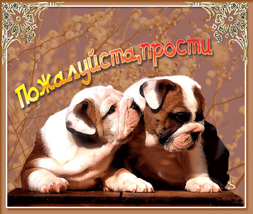 Красивые открытки с извинениями скачать бесплатно. Открытки прости меня gif.