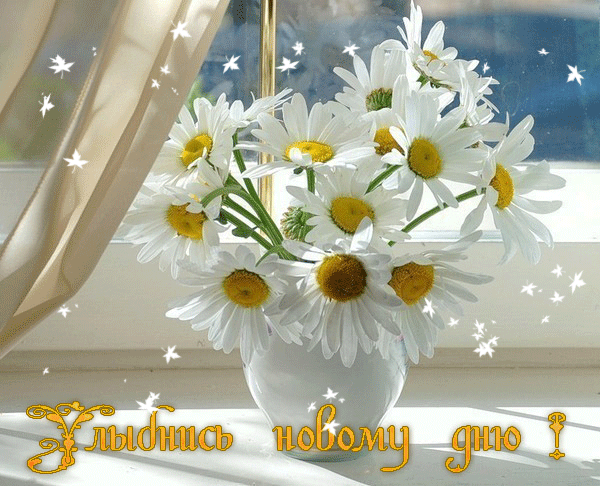 Весёлые открытки с пожеланиями улыбнись. Открытки с улыбкой скачать бесплатно.