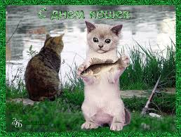 Скачать бесплатно прикольные открытки с днем кошек. Открытки с днем кошек gif.