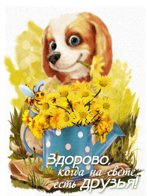 Красивые открытки для любимых друзей. Открытки о дружбе скачать бесплатно.