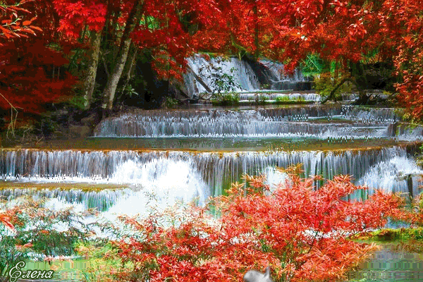 Оригинальные открытки с изображением осени. Открытки осень скачать бесплатно.