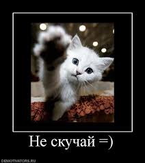 Веселые открытки с приколами не скучай скачать бесплатно.    