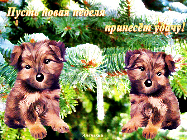 Забавные открытки с пожеланиями удачной недели. Открытки удачной недели скача...