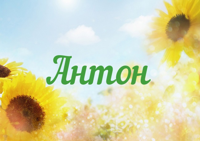 Открытки с именем Антон скачать бесплатно. Поздравительные открытки с именем ...