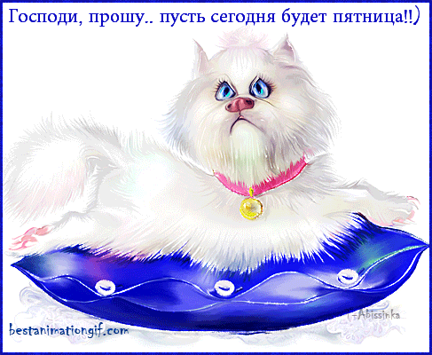 Прикольные открытки на пятницу. Открытки с пожеланиями на пятницу скачать бес...