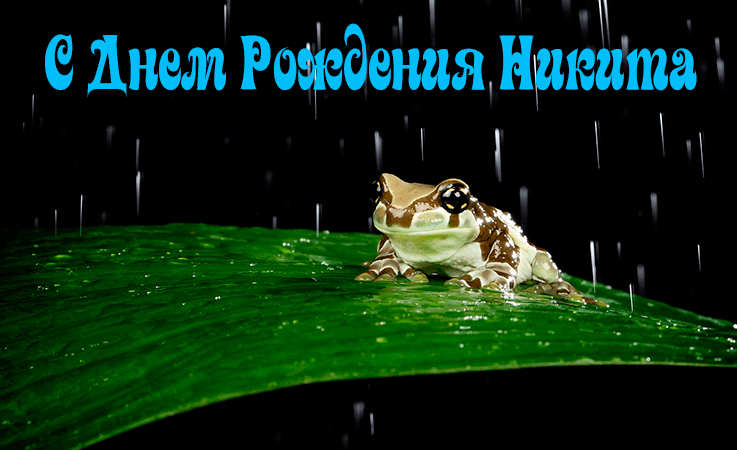Поздравительные открытки с именем Никита. Красивые открытки с именем Никита. 