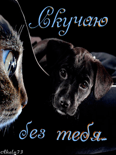 Анимационные открытки скучаю по тебе. Открытки я так скучаю скачать бесплатно.