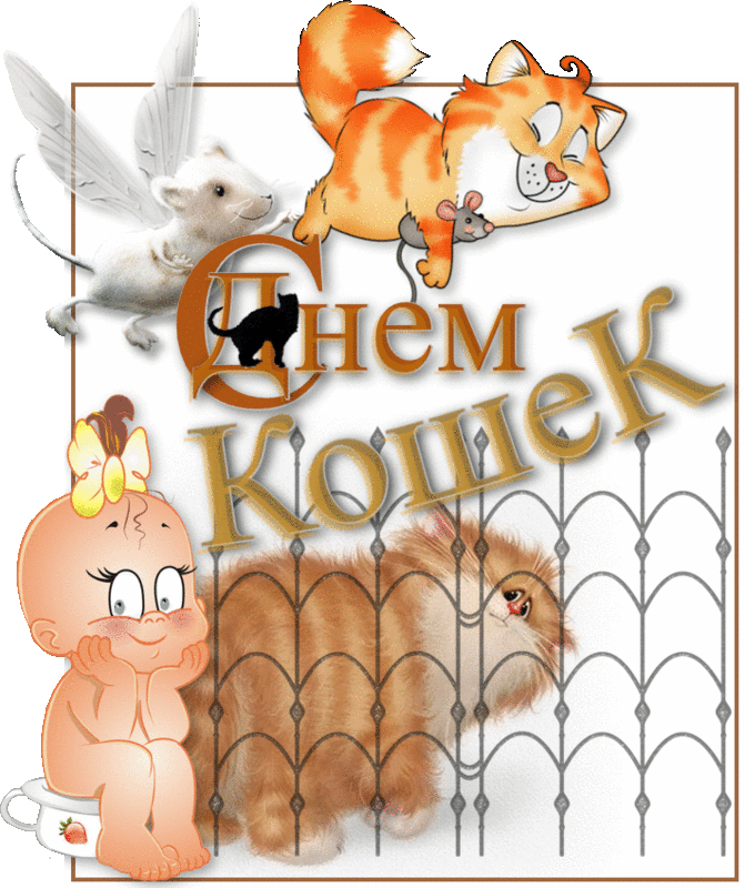 Скачать бесплатно прикольные открытки с днем кошек. Открытки с днем кошек gif.