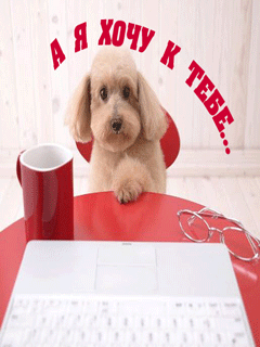 Анимационные открытки хочу к тебе. Мерцающие картинки хочу к тебе.