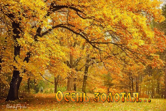 Оригинальные открытки с изображением осени. Открытки осень скачать бесплатно.