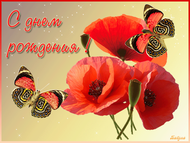 Маки и бабочки