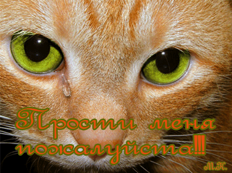 Красивые открытки с извинениями скачать бесплатно. Открытки прости меня gif.