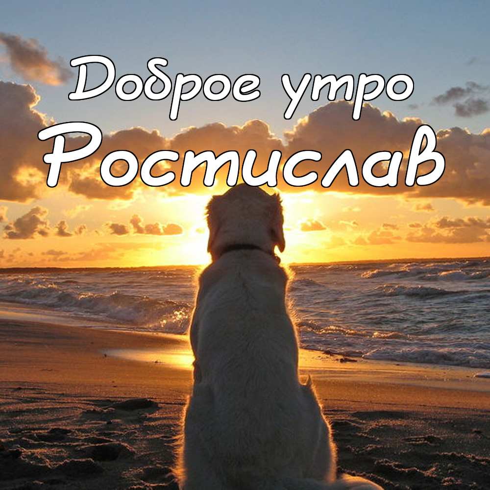 Открытки с именем Ростик скачать бесплатно. Открытки с мужскими именами. С дн...