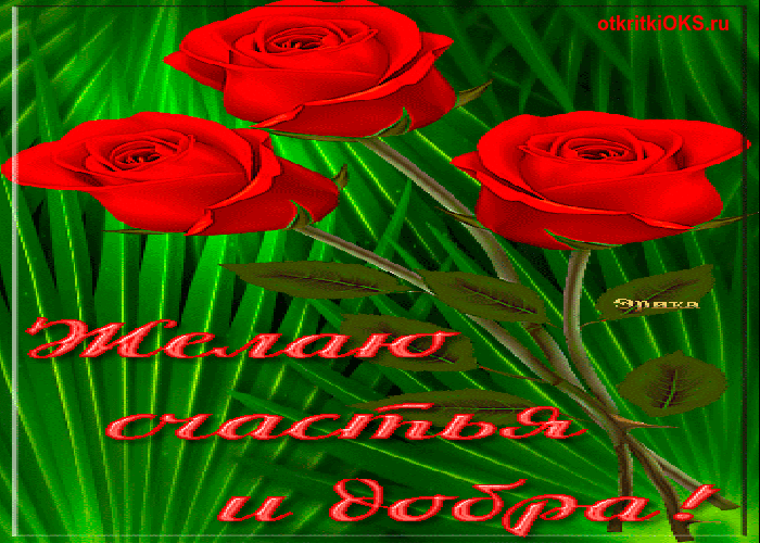 Скачать бесплатные открытки желаю счастья. Открытки желаю счастья с анимациями.