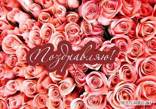 Анимационные открытки с цветами для вотсапа. Поздравительные открытки скачать...