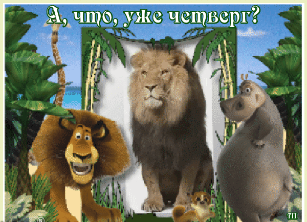 Открытки отличного четверга скачать бесплатно. Прикольные открытки на четверг...