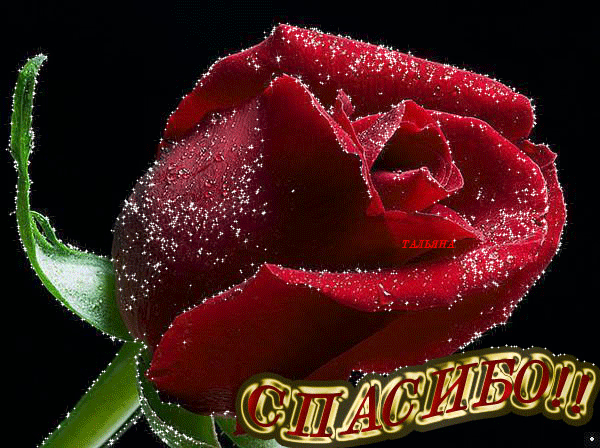 Анимационные открытки с благодарностью. Открытки спасибо скачать бесплатно.