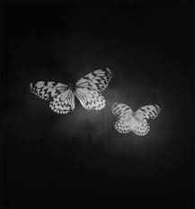 Мерцающие открытки с бабочками. Открытки с красивыми бабочками скачать беспла...