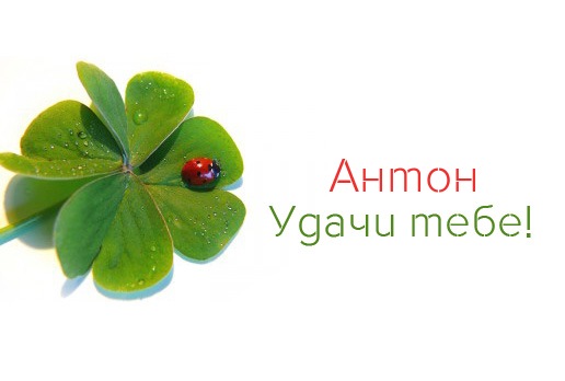 Открытки с именем Антон скачать бесплатно. Поздравительные открытки с именем ...