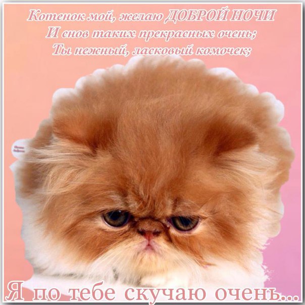 Анимационные открытки скучаю по тебе. Открытки я так скучаю скачать бесплатно.