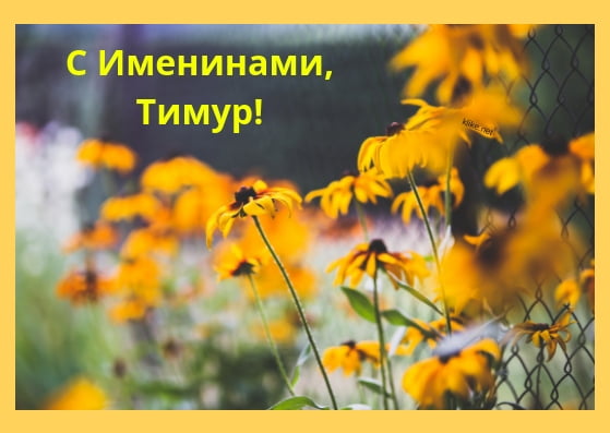 Открытки с именем Тима. С днём рождения Тимур открытки. Поздравительные Откры...